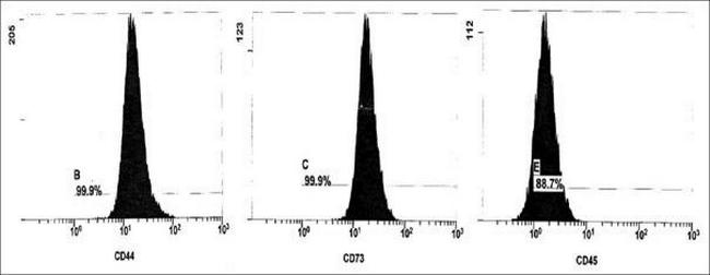 CD45 Antibody in Flow Cytometry (Flow)