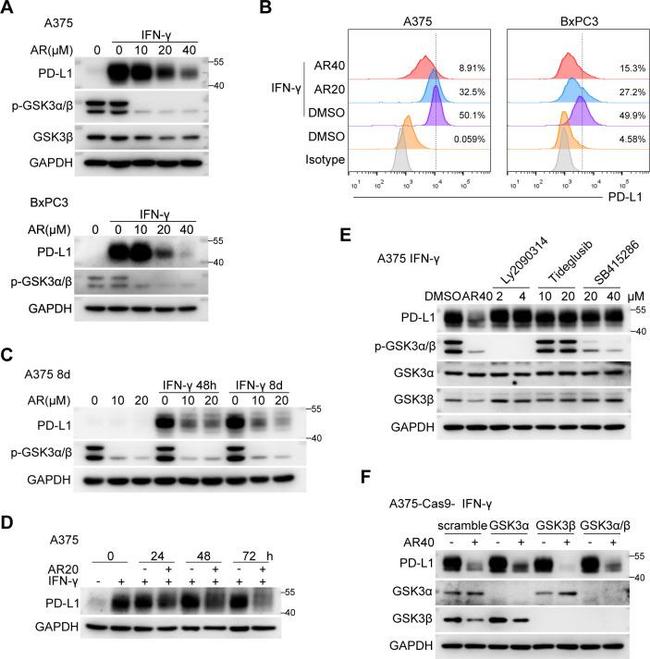 CD274 (PD-L1, B7-H1) Antibody in Flow Cytometry (Flow)