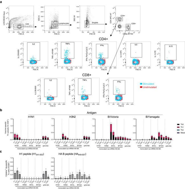 IL-13 Antibody in Flow Cytometry (Flow)