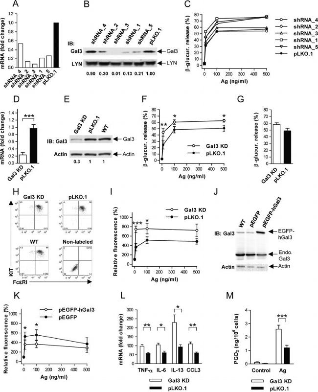 CD117 (c-Kit) Antibody in Flow Cytometry (Flow)