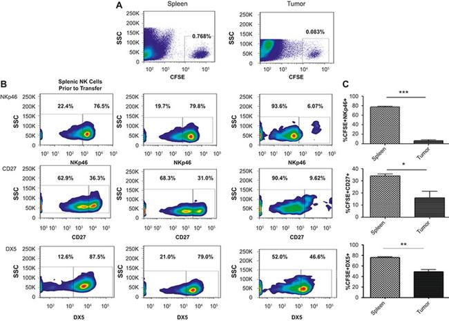 CD27 Antibody in Flow Cytometry (Flow)