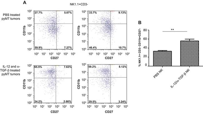 CD27 Antibody in Flow Cytometry (Flow)