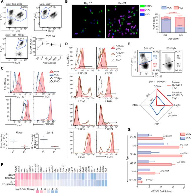 TIGIT Antibody in Flow Cytometry (Flow)