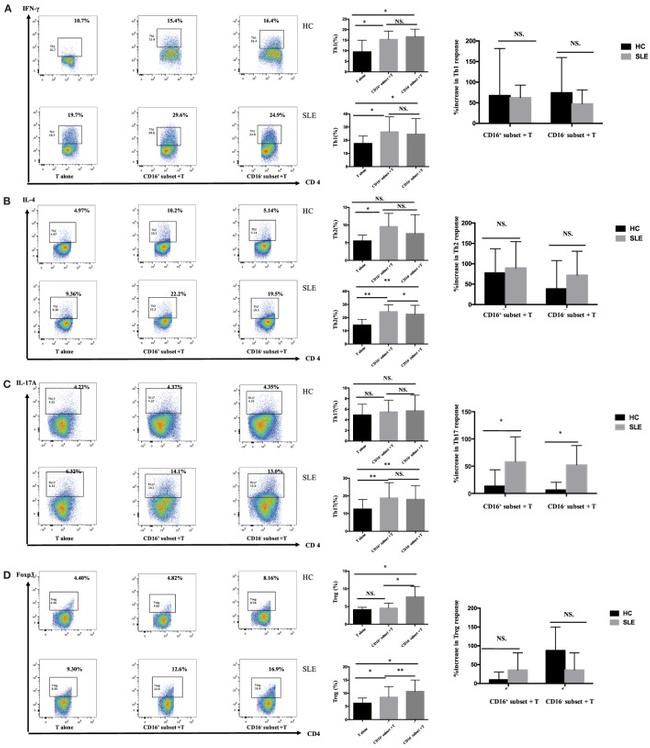 IL-17A Antibody in Flow Cytometry (Flow)