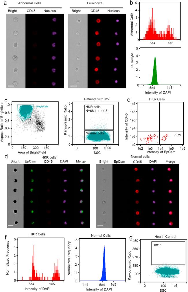 CD326 (EpCAM) Antibody in Flow Cytometry (Flow)