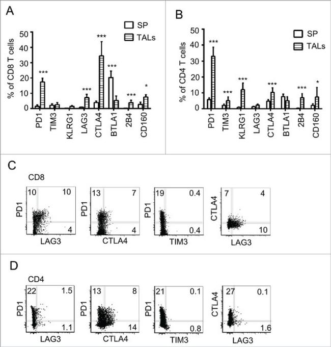 KLRG1 Antibody in Flow Cytometry (Flow)