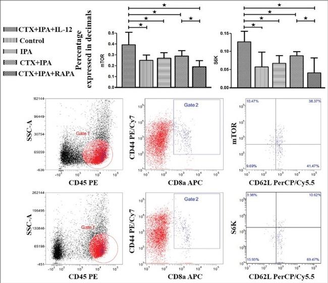 CD8a Antibody in Flow Cytometry (Flow)