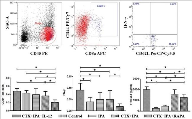 CD8a Antibody in Flow Cytometry (Flow)