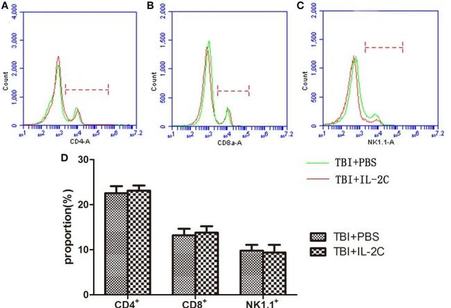 CD8a Antibody in Flow Cytometry (Flow)