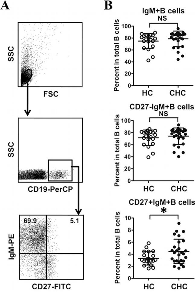 CD27 Antibody in Flow Cytometry (Flow)