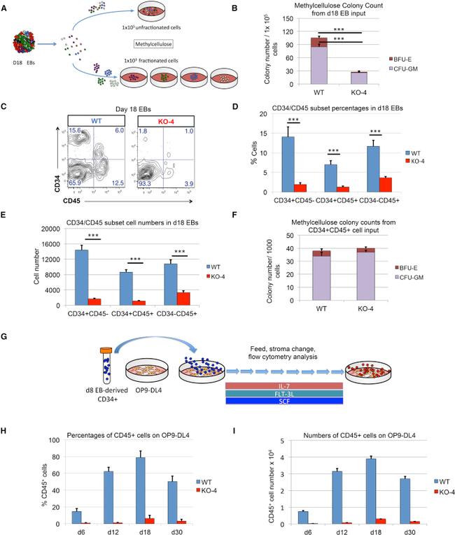 CD45 Antibody in Flow Cytometry (Flow)