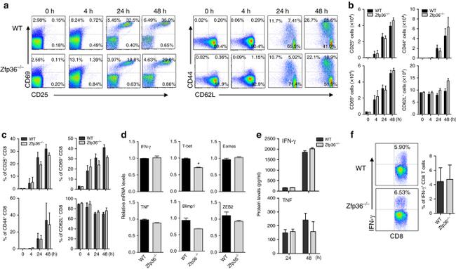 CD8a Antibody in Flow Cytometry (Flow)