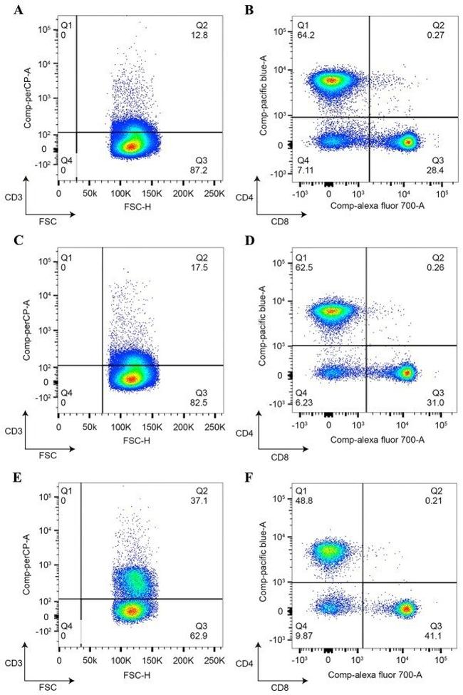 CD8a Antibody in Flow Cytometry (Flow)