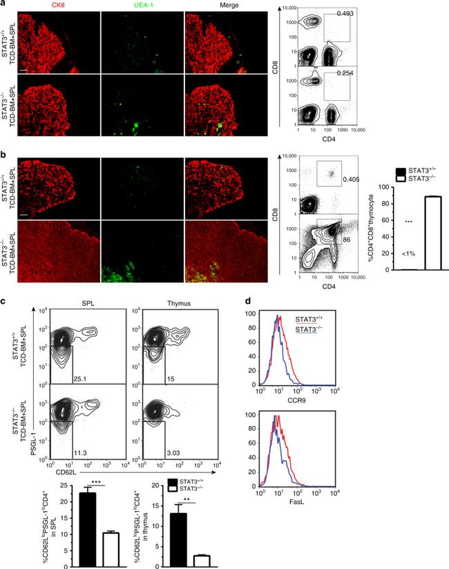 CD178 (Fas Ligand) Antibody in Flow Cytometry (Flow)