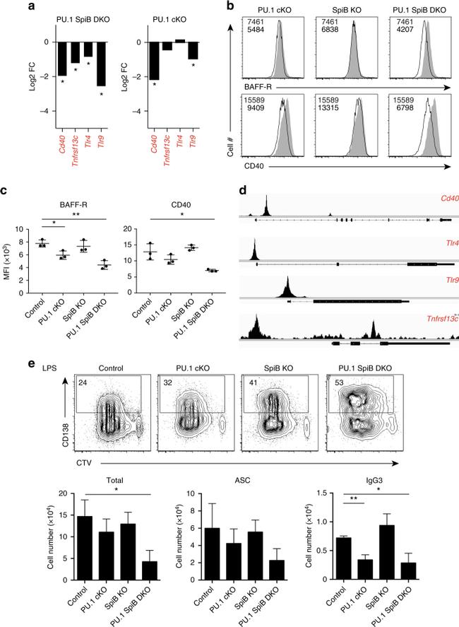 CD40 Antibody in Flow Cytometry (Flow)