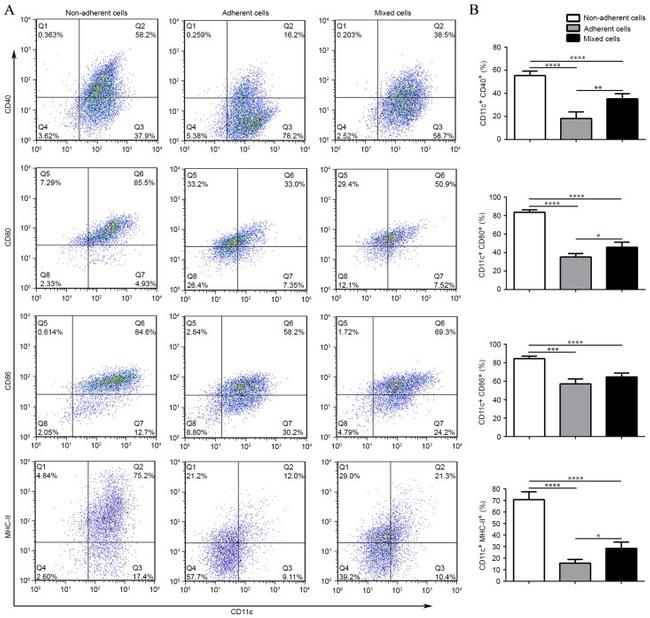 CD40 Antibody in Flow Cytometry (Flow)