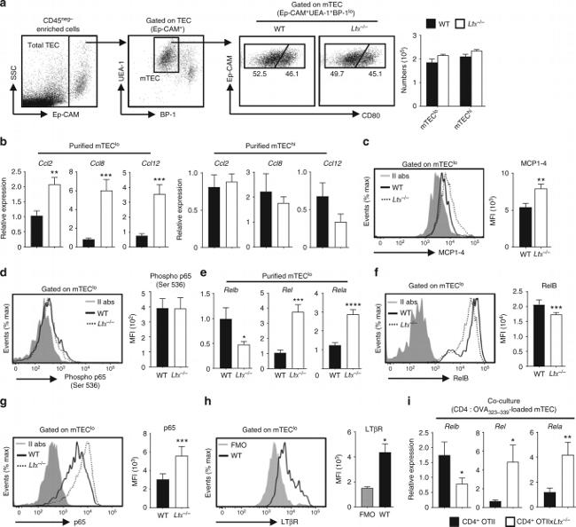 CD326 (EpCAM) Antibody in Flow Cytometry (Flow)