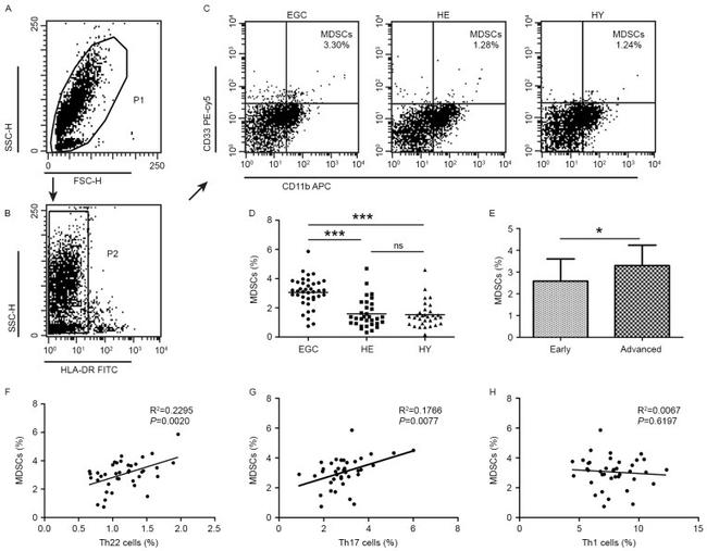 CD33 Antibody in Flow Cytometry (Flow)