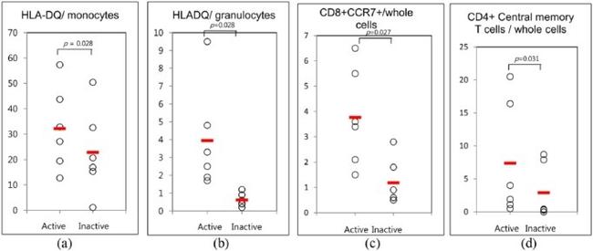 CD197 (CCR7) Antibody in Flow Cytometry (Flow)