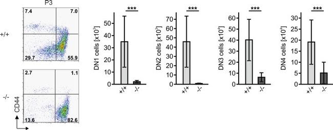 CD19 Antibody in Flow Cytometry (Flow)