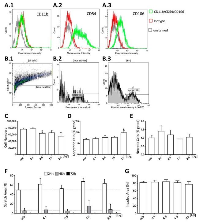 CD106 (VCAM-1) Antibody in Flow Cytometry (Flow)