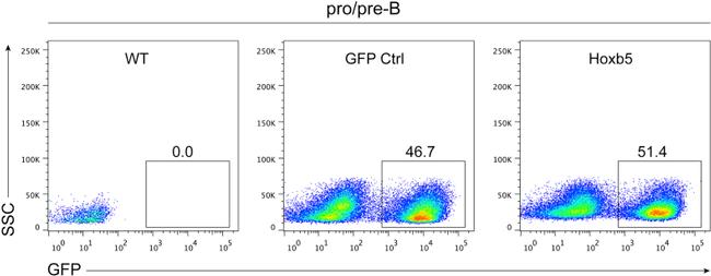 CD8a Antibody in Flow Cytometry (Flow)