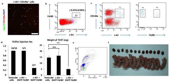 CD140a (PDGFRA) Antibody in Flow Cytometry (Flow)