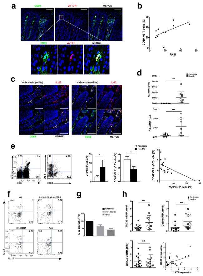 IL-22 Antibody in Flow Cytometry (Flow)