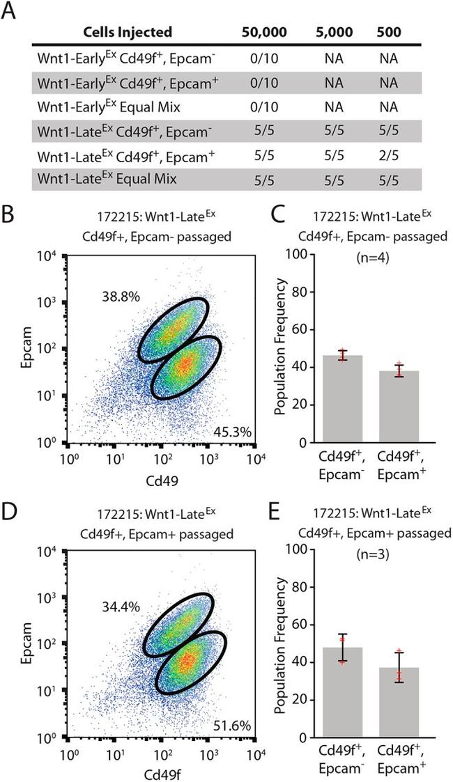 CD49f (Integrin alpha 6) Antibody in Flow Cytometry (Flow)