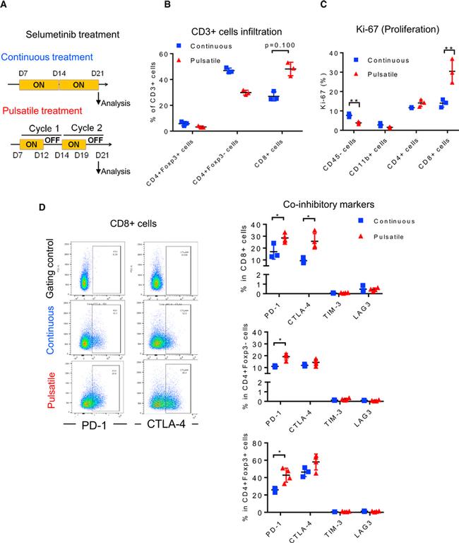 Ki-67 Antibody in Flow Cytometry (Flow)