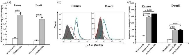 Phospho-AKT1 (Ser473) Antibody in Flow Cytometry (Flow)