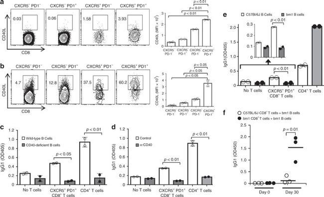 CD8a Antibody in Flow Cytometry (Flow)