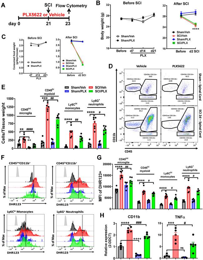 CD45 Antibody in Flow Cytometry (Flow)