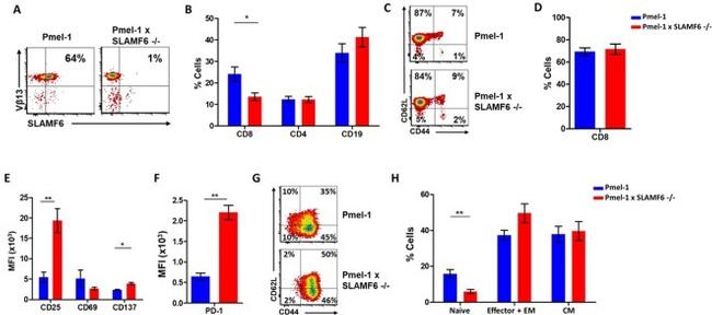 CD69 Antibody in Flow Cytometry (Flow)