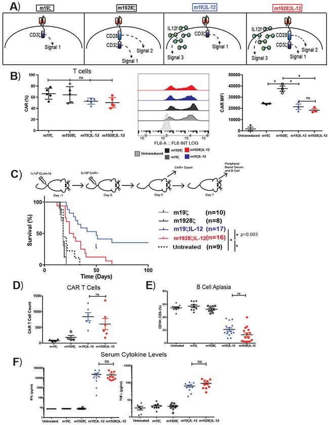 CD19 Antibody in Flow Cytometry (Flow)