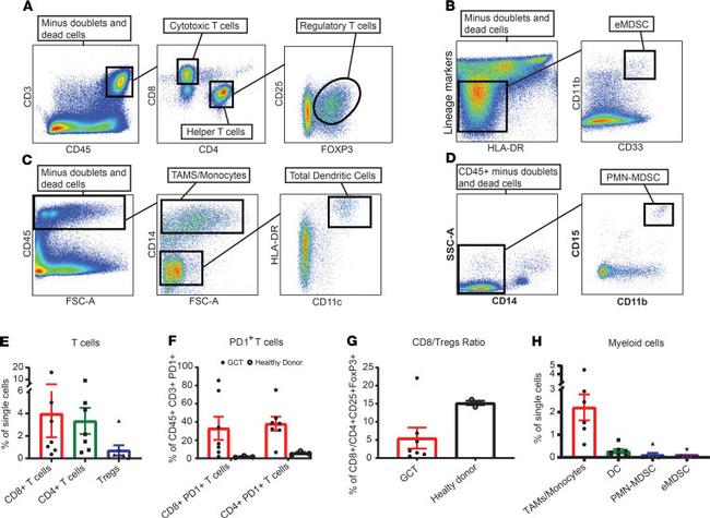 CD11b Antibody in Flow Cytometry (Flow)