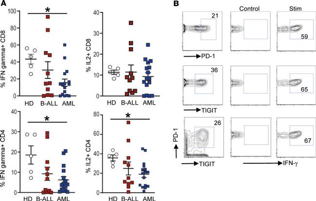 TIGIT Antibody in Flow Cytometry (Flow)