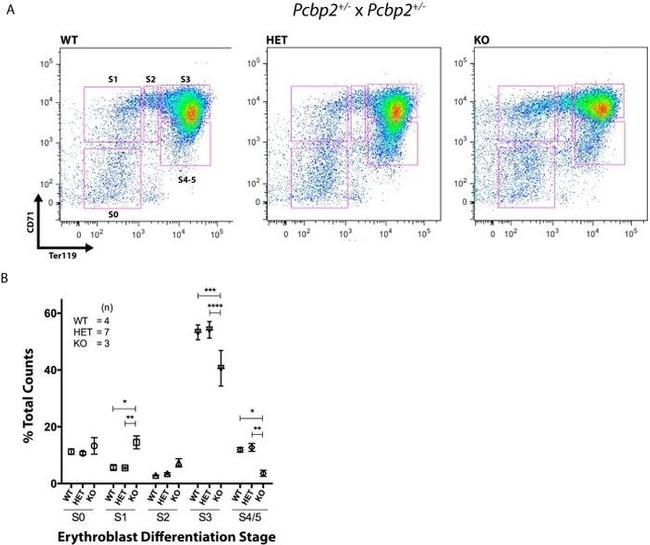 CD71 (Transferrin Receptor) Antibody in Flow Cytometry (Flow)