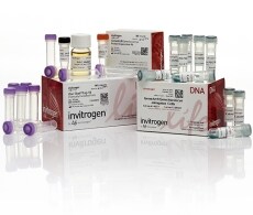 Syn-Showcase-A24243 Syn-Showcase-A24243